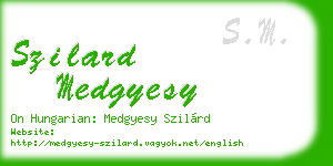 szilard medgyesy business card