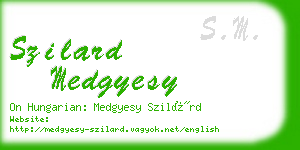 szilard medgyesy business card